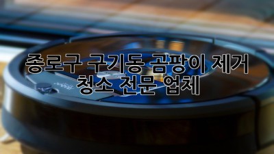 종로구 구기동 곰팡이 제거 청소 전문 업체