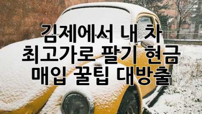 🚗 김제에서 내 차 최고가로 팔기! 현금 매입 꿀팁 대방출 💰