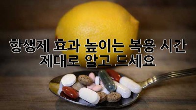 항생제 효과 높이는 복용 시간, 제대로 알고 드세요!