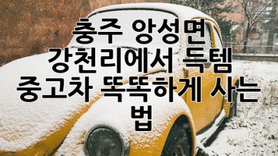 충주 앙성면 강천리에서 득템! ✨ 중고차 똑똑하게 사는 법 🚗